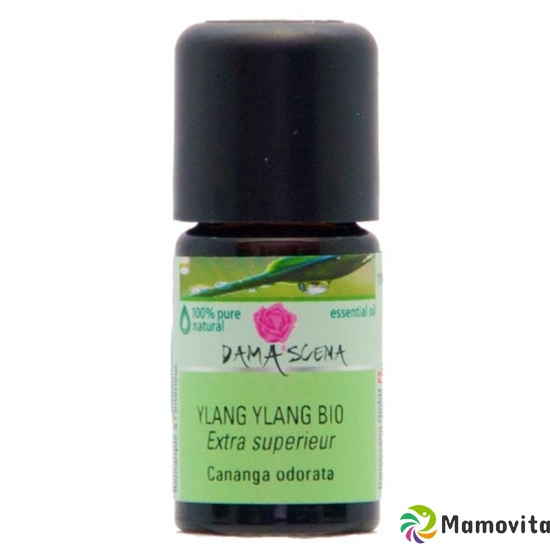 Damascena Ylang Ylang Extra Ätherisches Öl Bio 5ml buy online