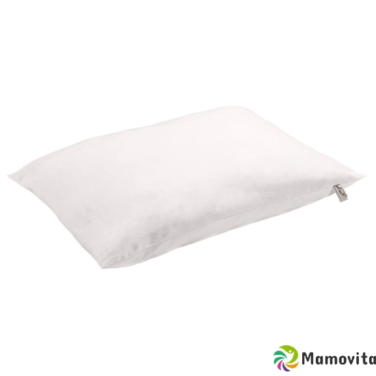 Elsa flake pillow 50x70cm without cover buy online