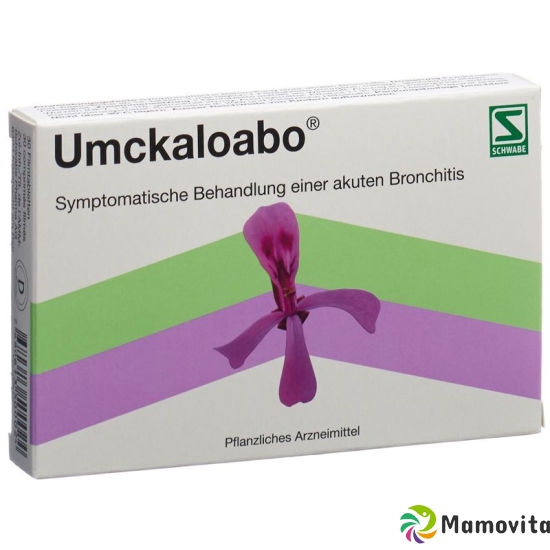 Umckaloabo Filmtabletten 30 Stück buy online