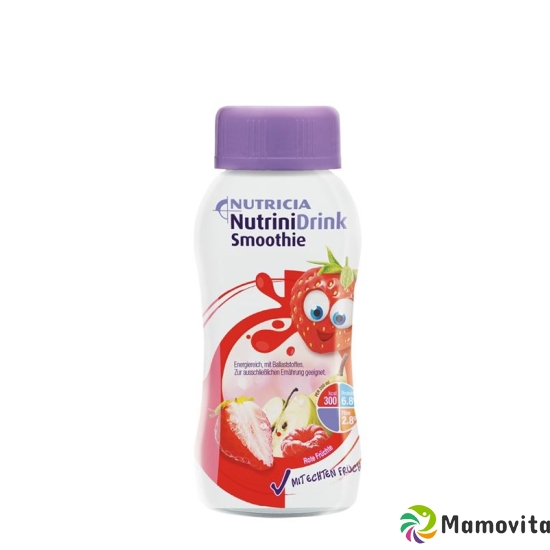 Nutrinidrink Smoothie Rote Früchte 200ml buy online