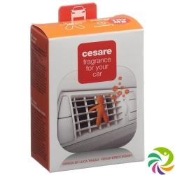 Joy Duftmaennchen Auto Cesare Orange Energy