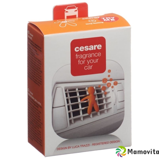 Joy Duftmaennchen Auto Cesare Orange Energy buy online