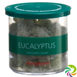 Adropharm Eukalyptus Reizlindernde Pastillen 140g