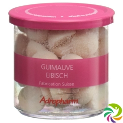 Adropharm Eibisch Reizlindernde Pastillen 110g