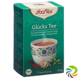 Yogi Tee Glück Beutel 17 Stück