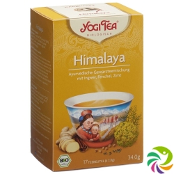 Yogi Tee Himalaya Beutel 17 Stück