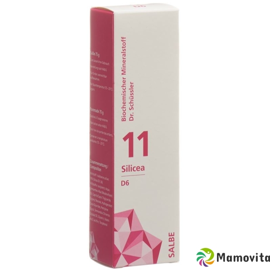 Phytomed Schüssler Nr. 11 Silicea Salbe D 6 75g buy online