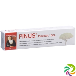 Pinus Pygenol Gel 100g