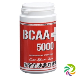 Bcaa 5000 Tabletten 400 Stück