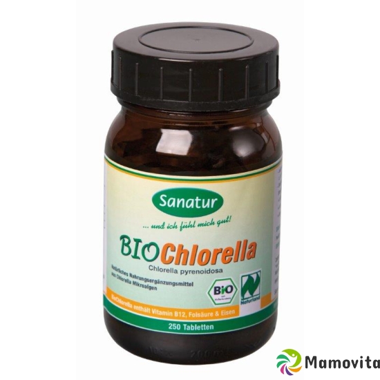 Bio Chlorella Hau Tabletten 400mg 250 Stück buy online