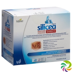 Hübner Silicea Magen-Darm Direct Gel 30 Sticks à 15ml