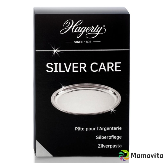 Hagerty Silver Care 170ml buy online