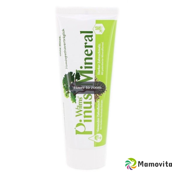 Pinusmineral Zahncreme O Minze O Fluoride 75ml buy online