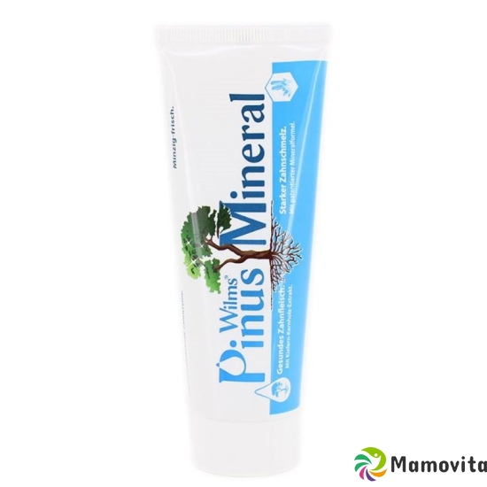 Pinusmineral Zahncreme mit Minze O Fluoride 75ml buy online