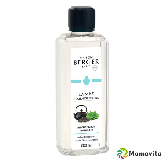 Lampe Berger Parfum Menthe Fraiche Riad 500ml buy online