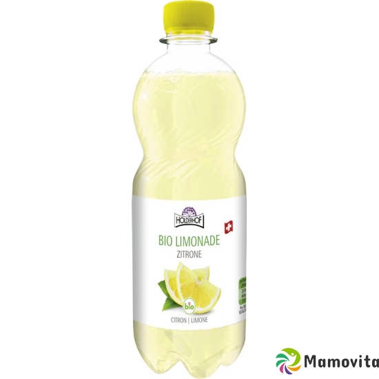 Holderhof Zitrone Erfrischungsgetränk Bio 5dl buy online