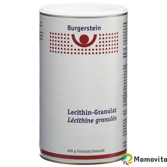 Burgerstein Lecithin Granules Ds 400 g buy online