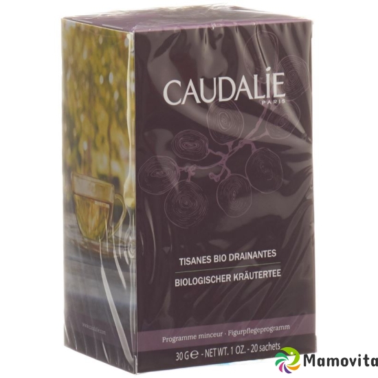 Caudalie Biologischer Kräutertee 20 Beutel buy online