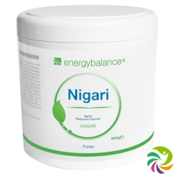 Energybalance Nigari Magnesiumchlorid Pulver 500g