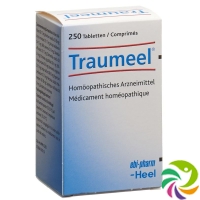 Traumeel Tabletten 250 Stück