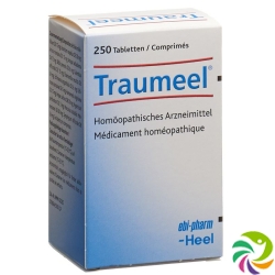 Traumeel Tabletten 250 Stück