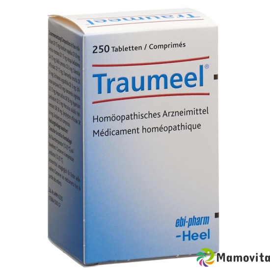 Traumeel Tabletten 250 Stück buy online