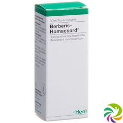 Homaccord Berberis Tropfen 30ml