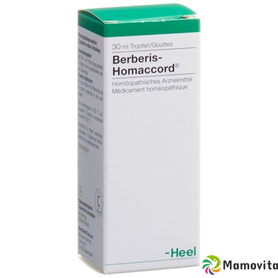 Homaccord Berberis Tropfen 30ml buy online