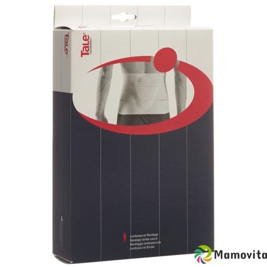 Tale Lumbosacral bandage 5.22 / 111-150cm white pad buy online