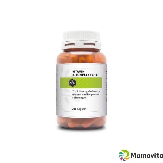 Oak vitamin B complex + C + E Kaps Ds 200 pcs buy online