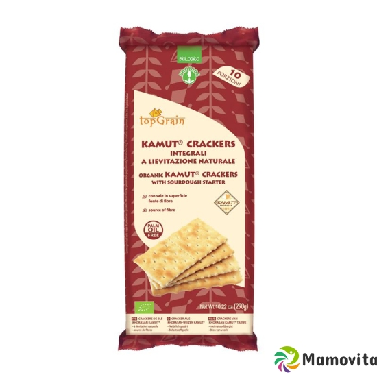 Probios Crackers Kamut Surface Salted Bio 290g buy online