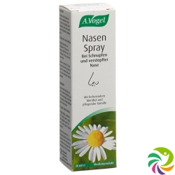 A. Vogel Nasal Spray 20 ml