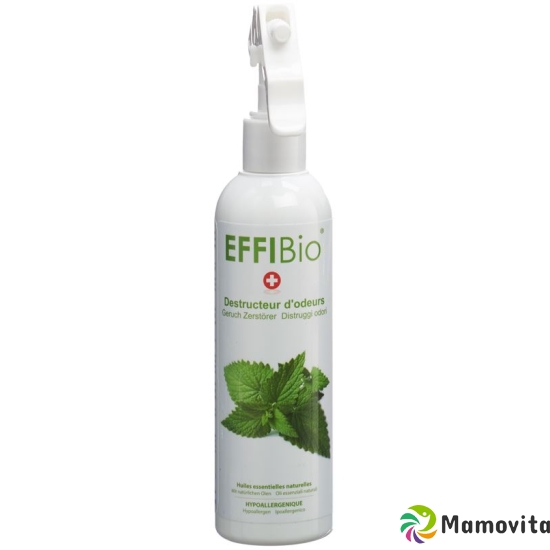 Effibio Geruch Zerstoerer 250ml buy online