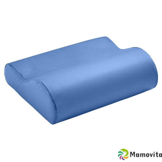 Elsa practice cushion 33x11cm with Plastifi cover white buy online