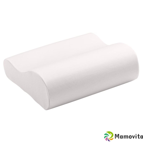 Elsa practice cushion 33x9cm with Plastifi cover white buy online