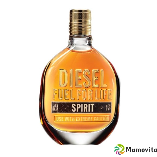 Diesel F Life Spirit Eau de Toilette Spray 50ml buy online