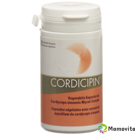 Cordicipin Vital Mushroom Extract Caps 60 pcs buy online