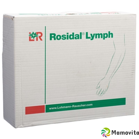 Rosidal lymph arm big buy online