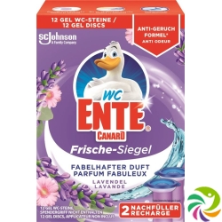 Toilet Duck freshness seal replenisher lavender 2 x 36 ml