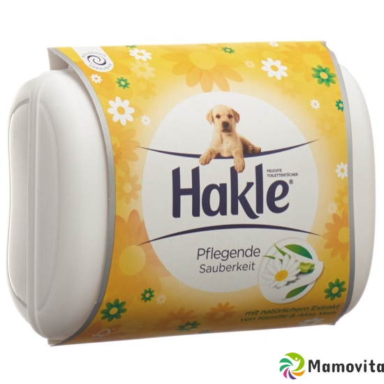 Hakle wet chamomile and aloe Box 42 pc buy online