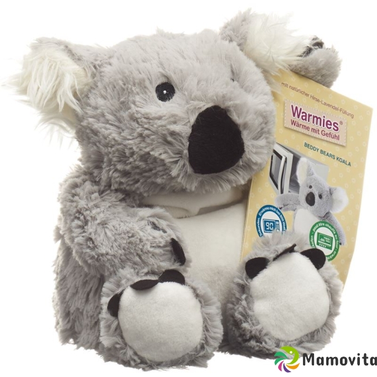 Beddy Bear caloric Koala buy online