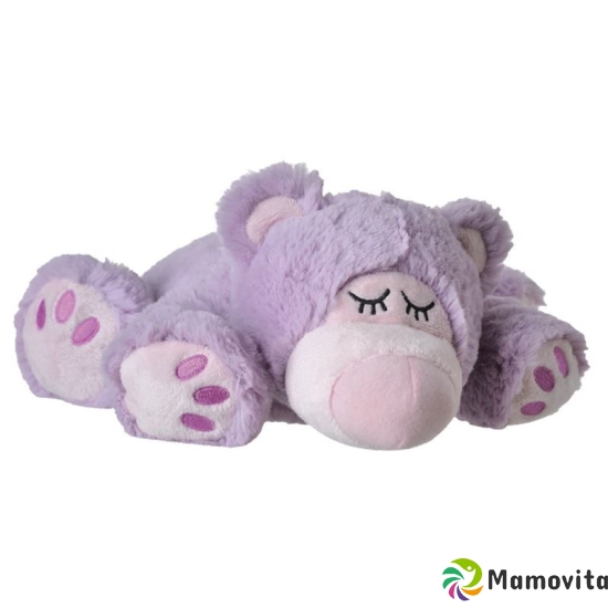 Beddy Bear stuffed animal heat Sleepy Bear purple buy online