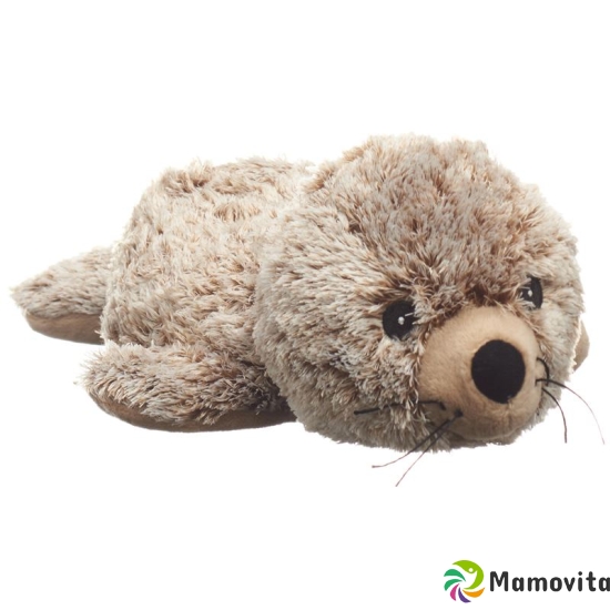 Beddy Bear stuffed animal heat seal buy online