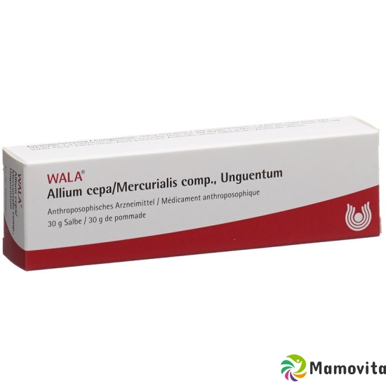 Wala Allium cepa / Mercurialis comp. Tb ointment 30 g buy online