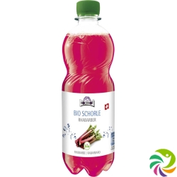 Holderhof rhubarb spritzer Bio Petfl 500 ml