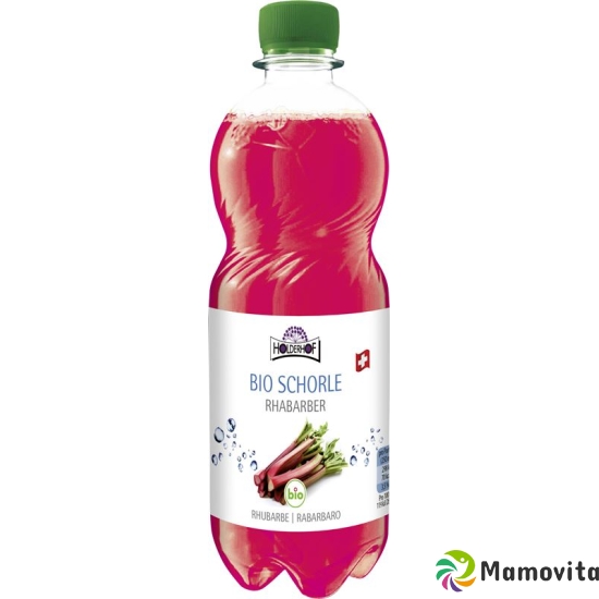 Holderhof rhubarb spritzer Bio Petfl 500 ml buy online