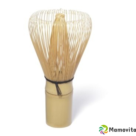 Shamila Japan Matcha Whisk Chasen buy online