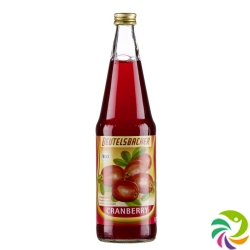 Beutelsbacher Cranberry-Fruchttrunk Flasche 0.7L