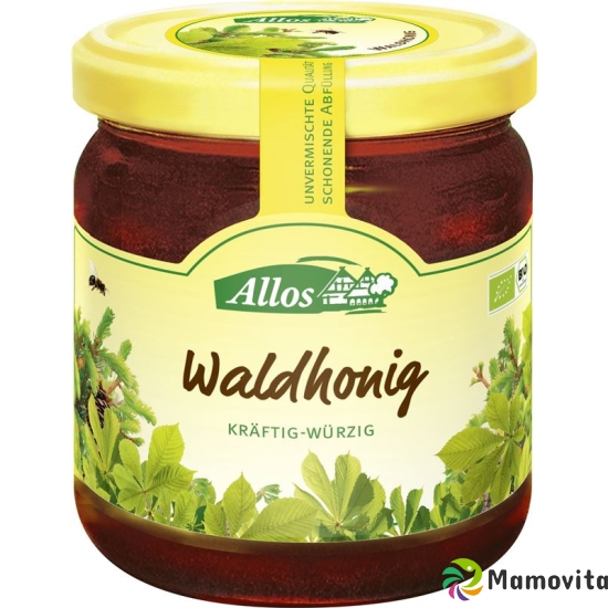 Allos Honig Wald Glas 500g buy online