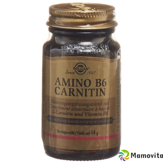 Solgar Amino B6 Carnitin Kapseln 30 Stück buy online